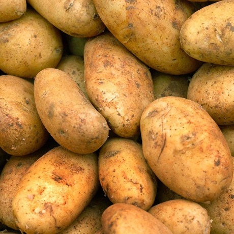 Aardappels